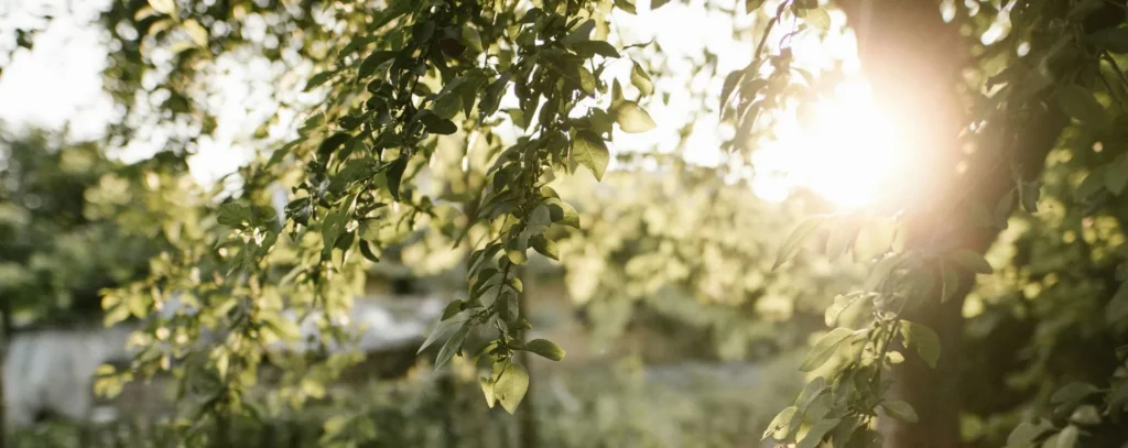 5 Mental Health Benefits of Spending Time Outside on Your Deck