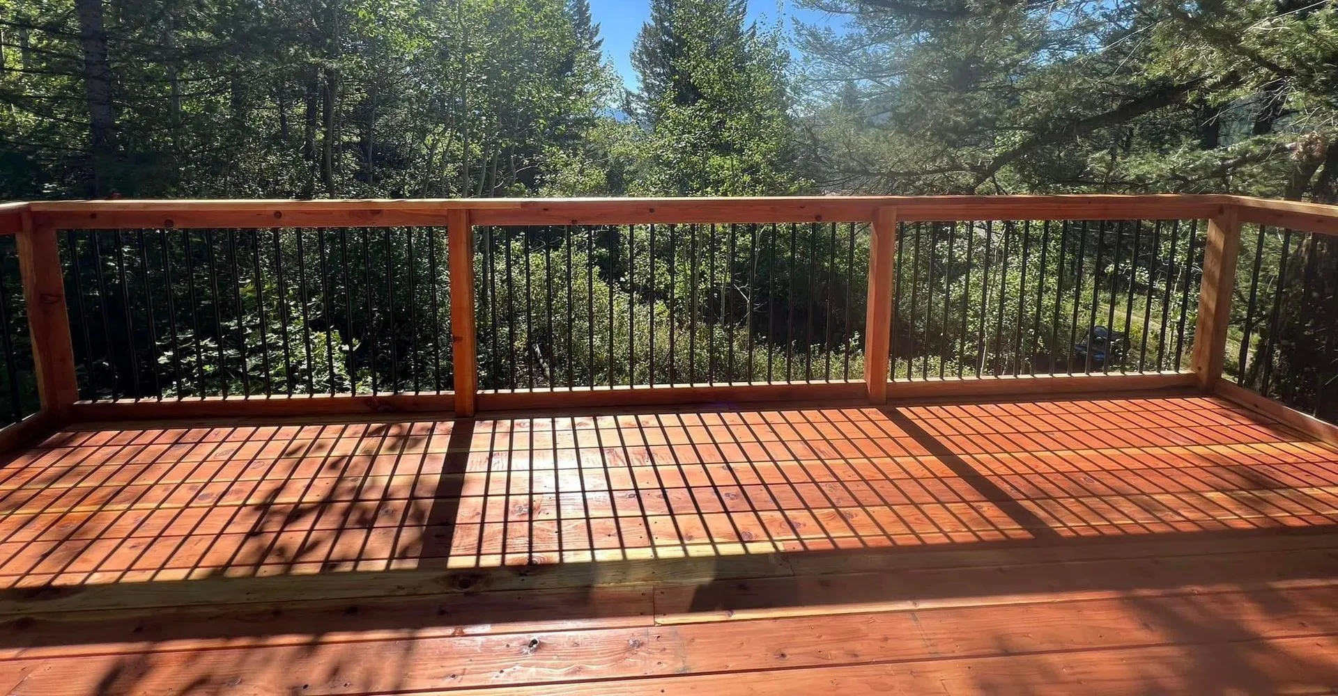 Sunlit redwood deck with forest background