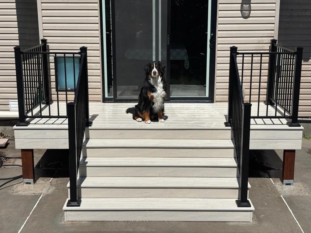 Deck Builders in Ammon, ID Bernese Mountain Dog sitting on a new composite deck with black railings.