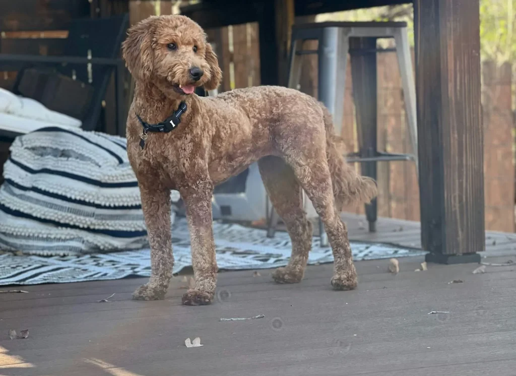 5 Mental Health Benefits of Spending Time Outside on Your Deck