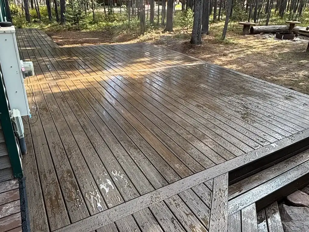 Wet wooden deck in a forest setting